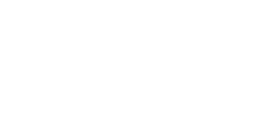 vyvo